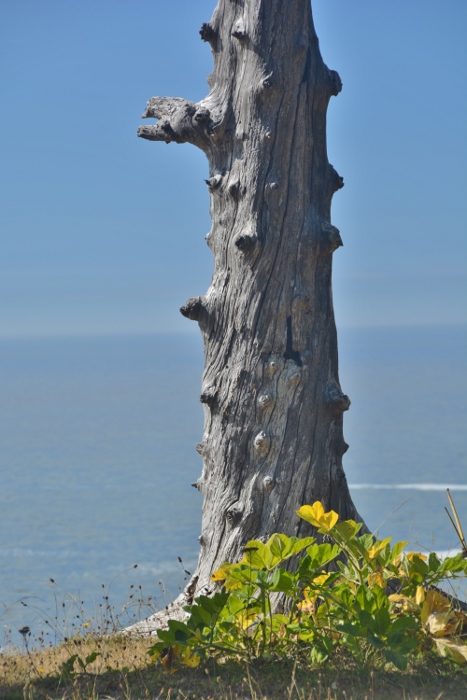 coastal trail